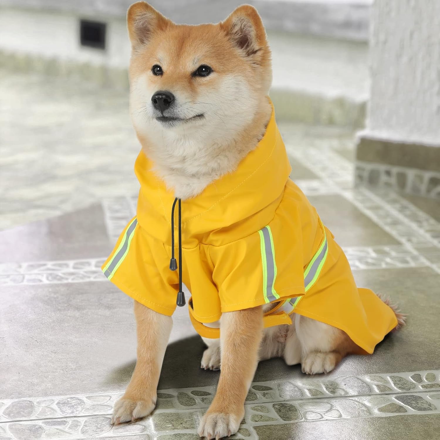 Hooded Dog Raincoat in Various Sizes and Colors, Lightweight Waterproof Slicker with Reflective Strip and Adjustable Drawstring