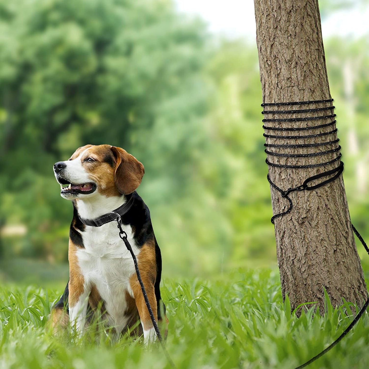30 FT Long Dog Training Leash with Padded Handle and Reflective Recall Lead for Puppies and Small Dogs - Black