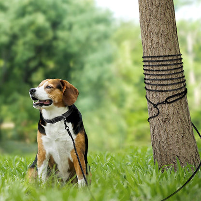 30 FT Long Dog Training Leash with Padded Handle and Reflective Recall Lead for Puppies and Small Dogs - Black
