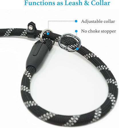 Premium Slip Lead Dog Leash with Padded Handle and Reflective Threads, No-Pull Training Leash, 1/2" x 6 FT, Black