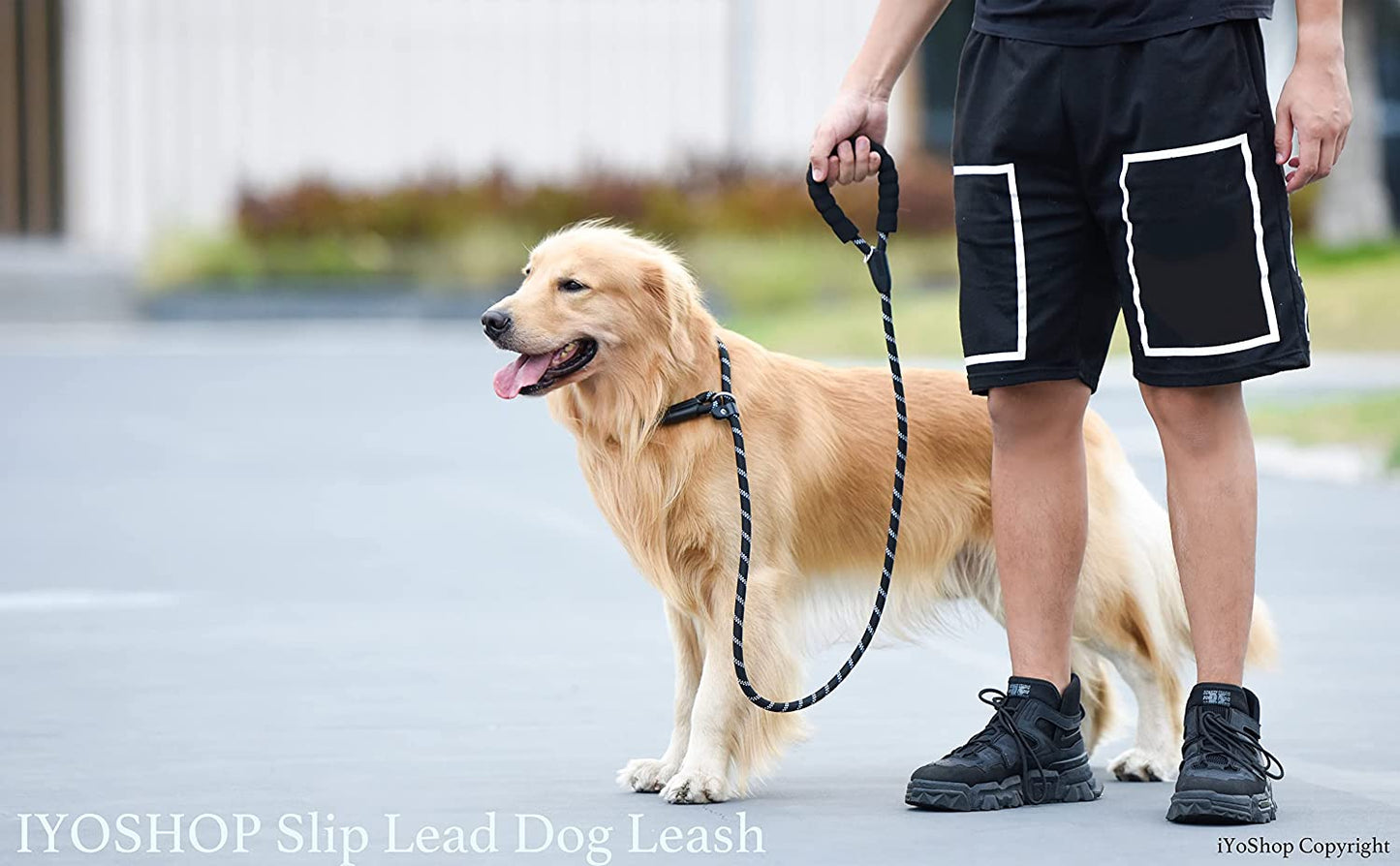 Premium Slip Lead Dog Leash with Padded Handle and Reflective Threads, No-Pull Training Leash, 1/2" x 6 FT, Black