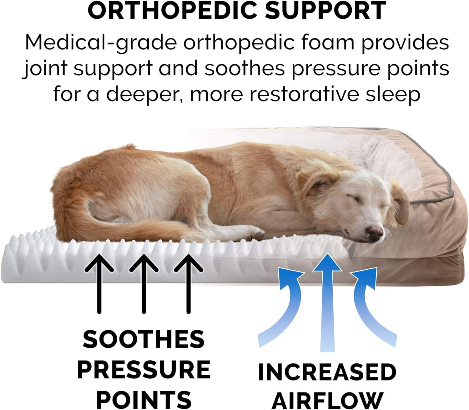 Orthopedic Small Dog Bed with Removable Bolsters and Washable Cover, Ideal for Dogs up to 20 lbs - Plush Velvet Sofa in Brownstone